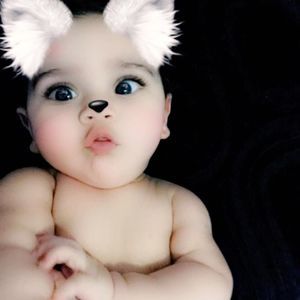 Meet your Posher, Rose